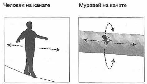 РИС 61 Человек и крохотный муравей воспринимают натянутый канат очень - фото 62