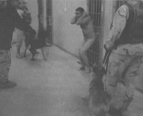 Джеймс Шлезингер руководитель одной из многих независимых следственных групп - фото 18