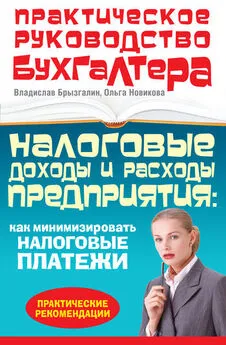 Владислав Брызгалин - Налоговые доходы и расходы предприятия : как минимизировать налоговые платежи