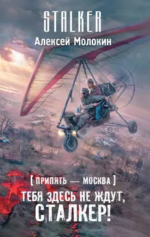 Алексей Молокин - Припять – Москва. Тебя здесь не ждут, сталкер!