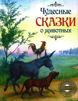 Якоб Гримм - Чудесные сказки о животных