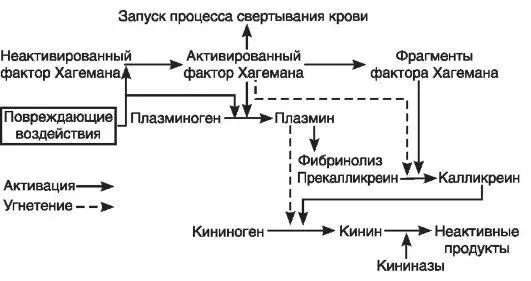 зуально определить по цвету крови Для определения содержания СО в крови - фото 20