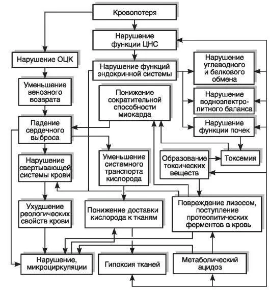 Рис 144 Основные нарушения функции органов и систем при острой кровопотере - фото 3