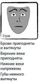 Страхчередуясь с гневом регулирует поведение в опасной ситуации Его цель - фото 25