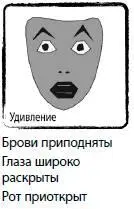 Удивление самая короткая эмоция которая удерживает вас от опрометчивых - фото 26