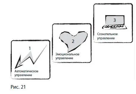 1 Вегетативный уровень автопилот мозга управляет основными процессами - фото 79