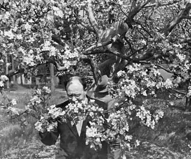 В Горках 1937 Обоняние его было обостренным он не нюхал как все люди а - фото 71