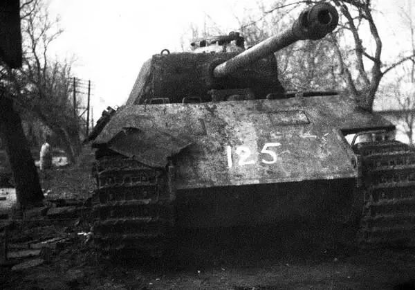 Подбитый в ходе боев у озера Балатон немецкий танк PzV AusfD Panther - фото 39