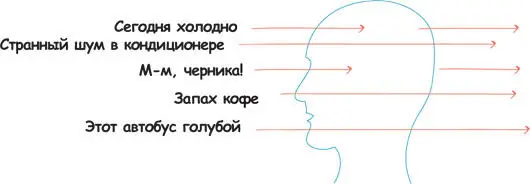 Мы не придаем значения большинству ощущений пока среди них не появляется - фото 107
