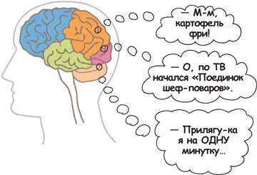 Слон хочет но погонщик держит желание в узде Это действительно полезное - фото 151