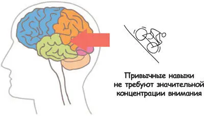 Привычные и знакомые действия выполнять так же легко как съезжать с горы На - фото 214