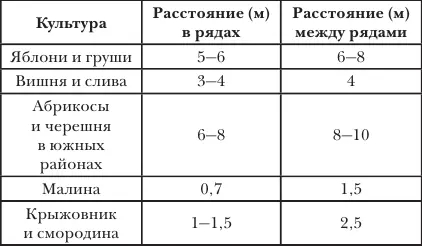 Если садовый участок пустой и на нем нет никаких деревьев и кустарников то - фото 2