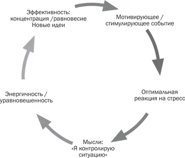 Рис 12 Высокая стрессоустойчивость Вовторых вдобавок к постоянному - фото 2