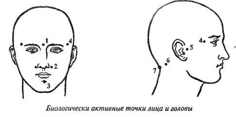 4 парная точка в височных ямках 5 точки на границе шеи и головы чуть выше - фото 3
