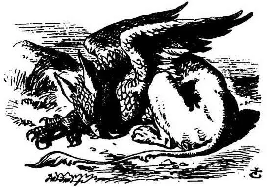 The Gryphon sat up and rubbed its eyes then it watched the Queen till she was - фото 37