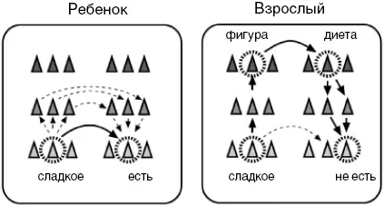 75 Различие в реакциях на сладкое у детей и взрослых Ребенок реагирует - фото 53