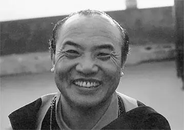 У Кармапы были виды на немцев Кармапа делал все чтобы еще укрепить мою и без - фото 24