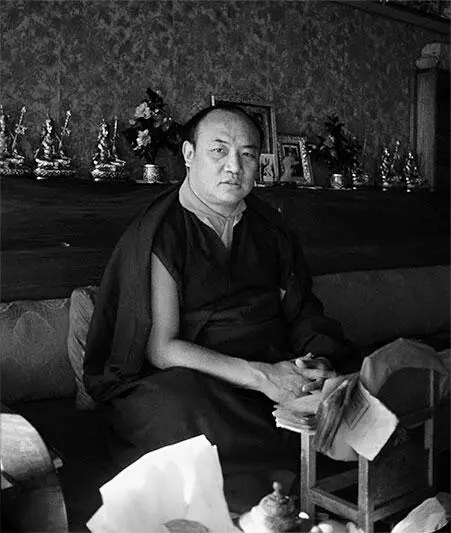 Царь Махамудры Незадолго до этого произошло событие о котором в Румтеке - фото 39