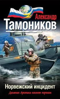 Александр Тамоников - Норвежский инцидент