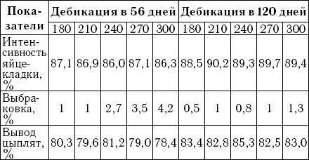 Кросс Тетра СЛ является высокопродуктивным гибридом кур Средняя несушка за - фото 9