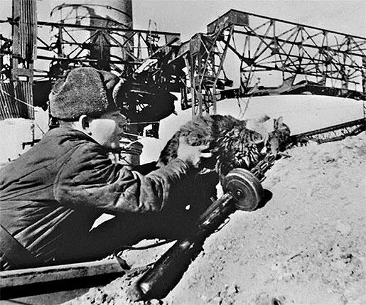 Рис 43Кот выросший в условиях постоянной стрельбы из всех видов оружия при - фото 44
