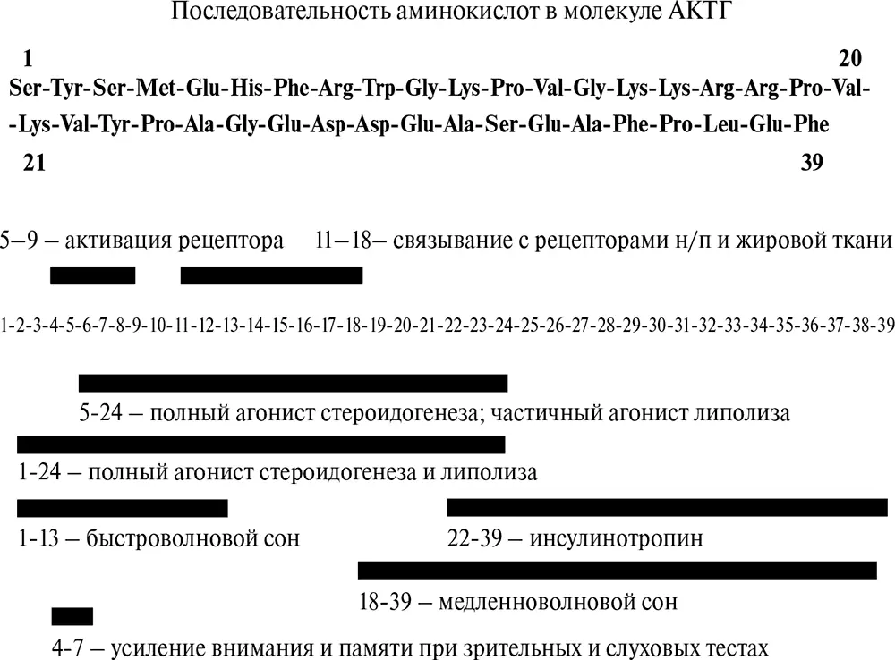 Рис 419Функциональная структура АКТГ Приведена последовательность - фото 69
