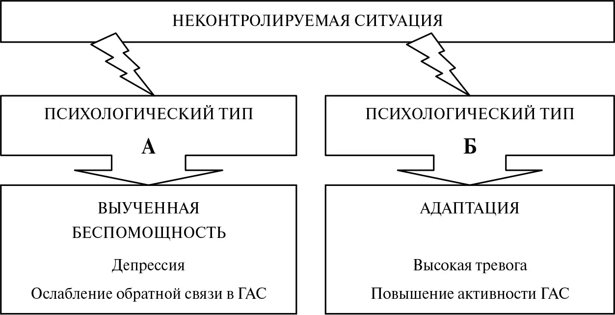 Рис 611Схема восприятия неконтролируемой ситуации представителями типов А и - фото 104