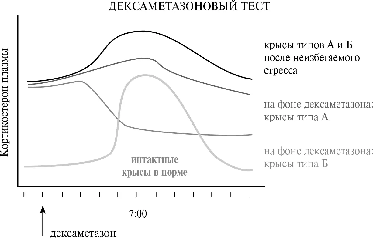 Рис 615Дексаметазоновый тест у крыс двух поведенческих типов А и Б - фото 108