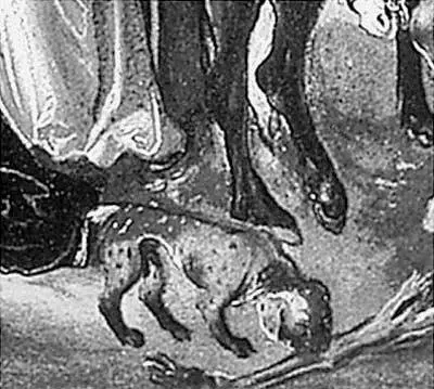 Рис 1131Ь Фрагмент картины Голгофа Лукаса Кранаха Старшего Собака у - фото 144