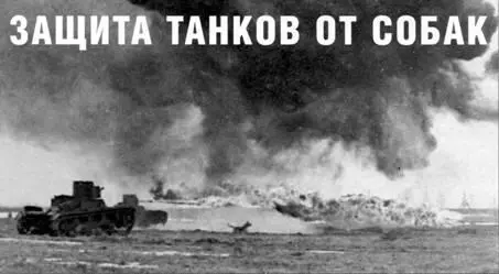 В начале 1930х гг специально подготовленные собаки способные нести заряд ВВ - фото 100