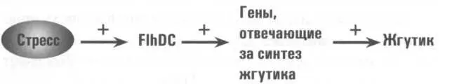 Именно здесь кроется основной недостаток механизма отвечающего за синтез - фото 5