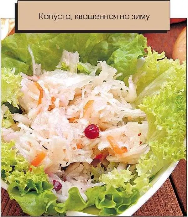 15 кг капусты 650 г моркови 550 г брусники 4 кг яблок 300 г соли Капусту - фото 12