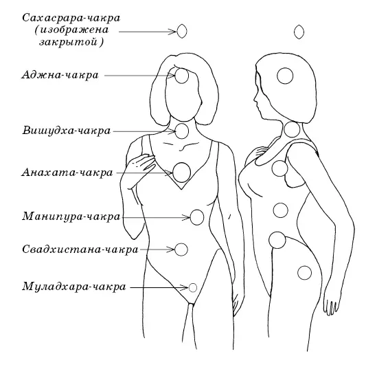 Рис 2 Чакры Чакры находятся на одной линии вдоль позвоночника Символически - фото 18