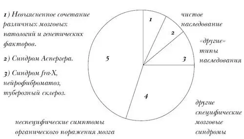 4 Хромосомные нарушения отличные от fraX гидроцефалия синдром - фото 2