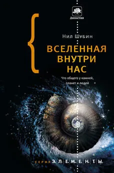 Нил Шубин - Вселенная внутри нас: что общего у камней, планет и людей