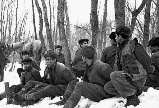 Отвоевались Крымскотатарские прислужники Гитлера в плену у партизан 1944 - фото 7