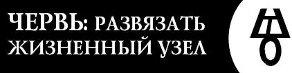 Это словолекарь поможет вам в разрешении долгой конфликтной ситуации - фото 78