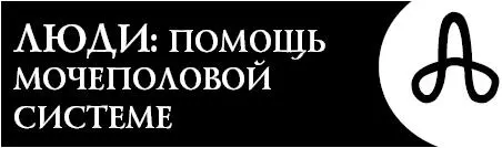 Это словолекарь поможет вам избавиться от заболеваний мочеполовой системы - фото 101