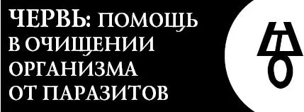 Это словолекарь поможет вам очистить свой организм от паразитов - фото 116