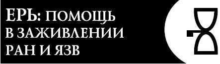 Это словолекарь поможет вам ускорить заживление повреждений на коже - фото 121
