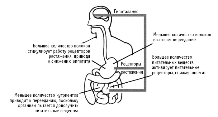 Рис 1 Больше нутриентов и клетчатки снизит желание потреблять калории В - фото 8