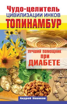 Андрей Новиков - Чудо-целитель цивилизации инков. Топинамбур. Лучший помощник при диабете