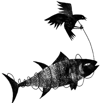Спайник парадоксальный или диплозоон является паразитом рыб семейства - фото 15