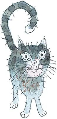 Шамайка королева кошек - фото 49