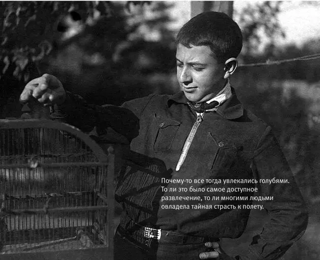 Почемуто все тогда увлекались голубями То ли это было самое доступное - фото 12