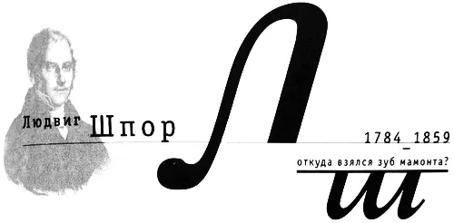 В наше время многие профессионалы и любители склонны лишь удивленно поднимать - фото 15