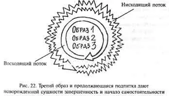 Теперь создана структура будущей сущности и эта структура объединена с ее - фото 18