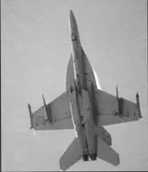 FA18F V22 Шведы демонстрировали в линеике патрульный морской - фото 68