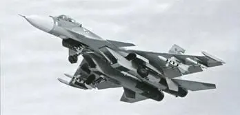 Бе12 из 7057й АвБ морской авиации и Су33 из 279го ОКИАП Парк авиатехники - фото 99