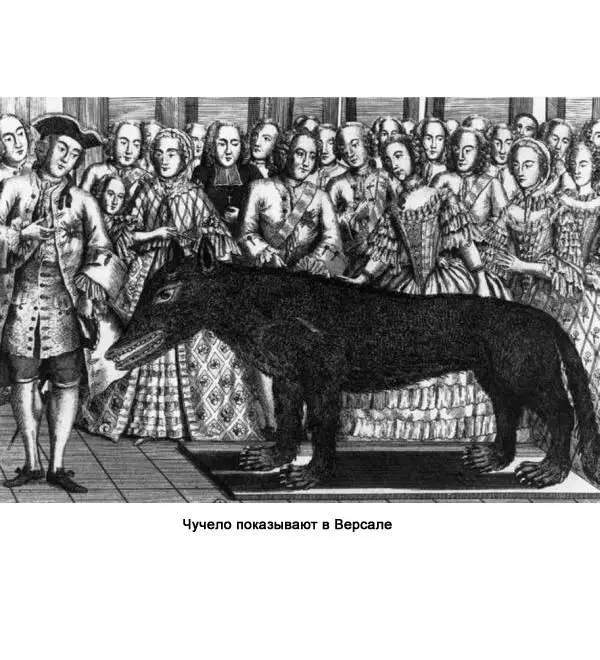 слева Женщины вкуснее мужчин Жеводанское чудовище раскрашенная гравюра - фото 253